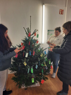 Wir schmücken gemeinsam den Weihnachtsbaum.